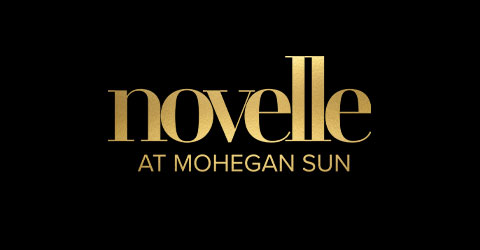 novelle logo