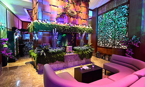 Secret Garden Bar