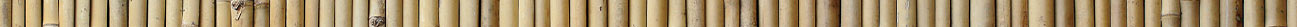 tiki bar bamboo divider 