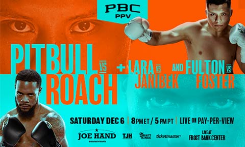 pitbull vs roach image