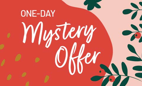 one day mystery offer