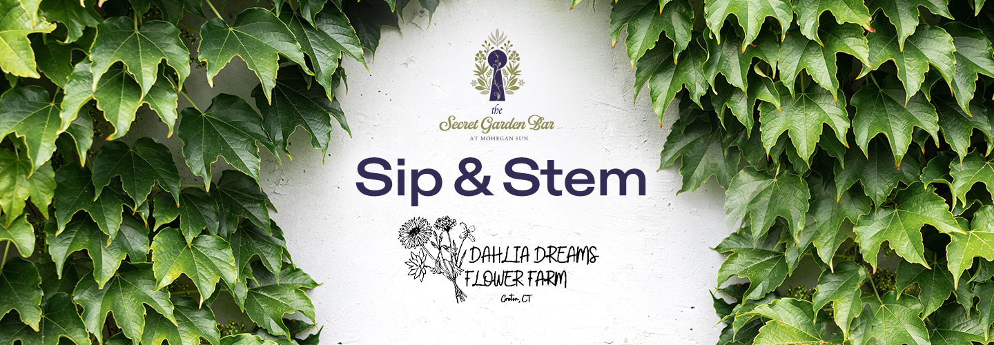 Sip & Stem 