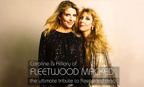 fleetwood macked image