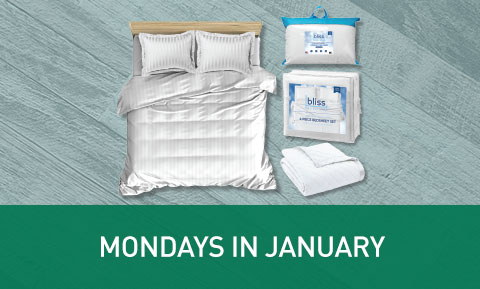 Bliss Bedding Giveaway