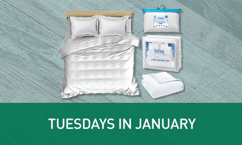 Bliss Bedding Giveaway