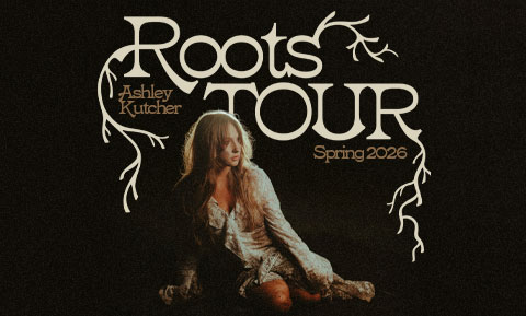 ashley kutcher image