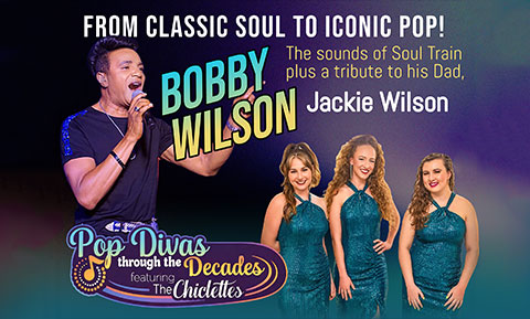 Bobby Wilson & The Chiclettes band image
