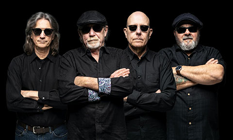 f and blues band image