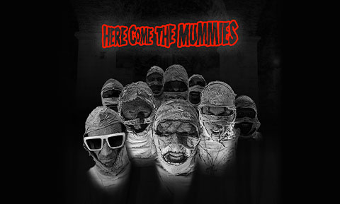 here come the mummies image