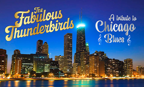 fabulous thunderbirds image