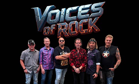 voices of rock image