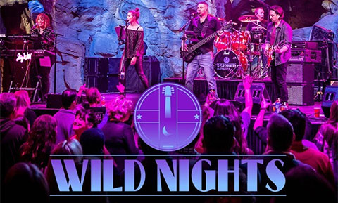 wild nights band image and logo