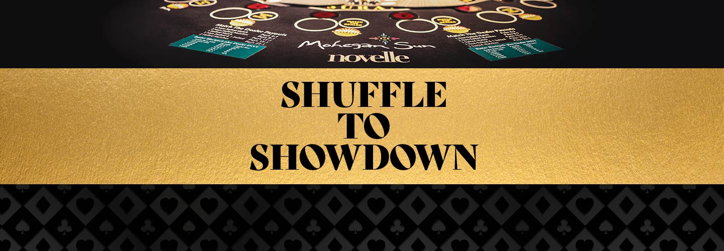 Shuffle to Showdown: Casino 101