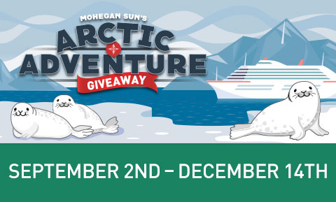 Arctic Adventure Giveaway
