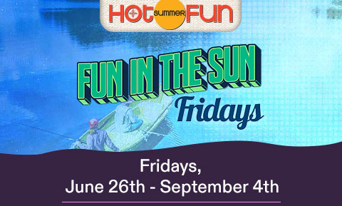 Fun in the Sun Fridays