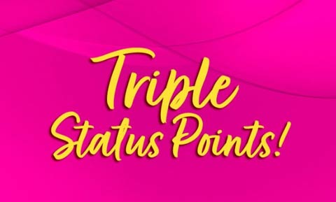 Endless Midnight Gala at Novelle Thumbnail Graphic