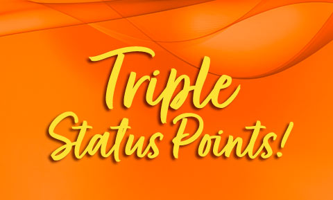 Endless Midnight Triple Status Points