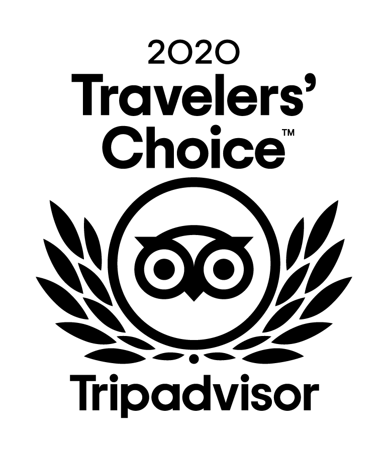 Tripadvisor Travelers' Choice 2020 award