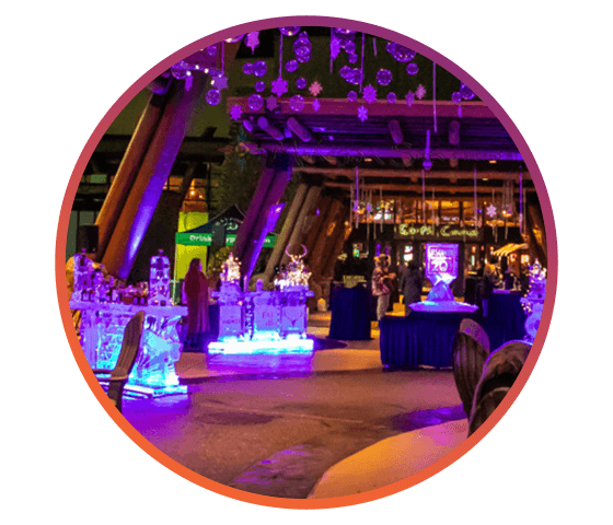 Sun Patio Ice Bar Experience graphic