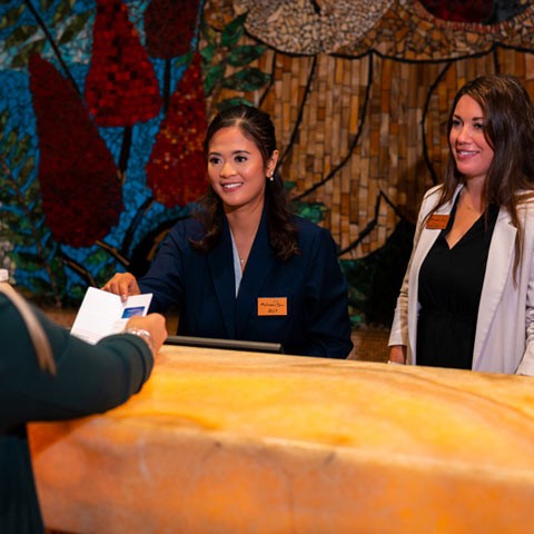 msct-careers-teaser-480x480