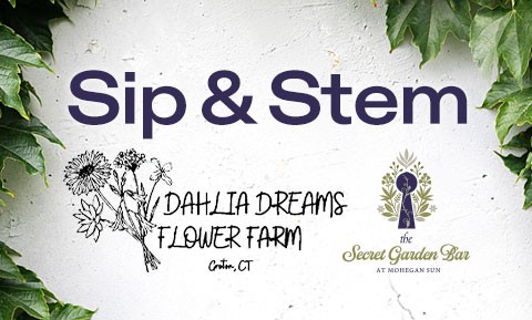 thumbnail-sip-and-stem-480x289